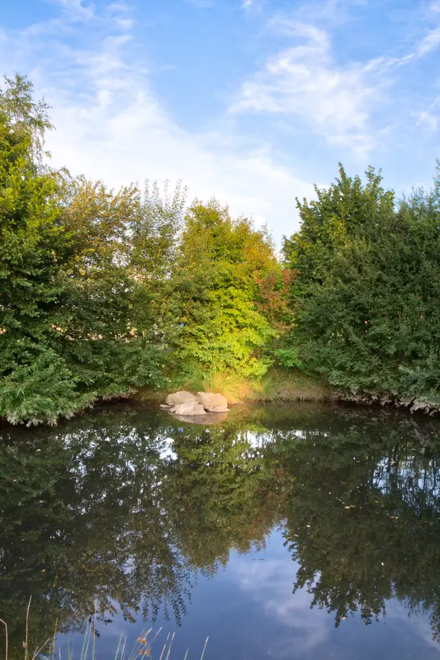 Ausgleichbecken Spiegelung