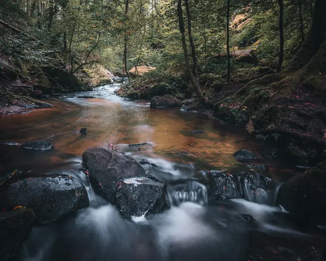 Karlstal Unten September Ig