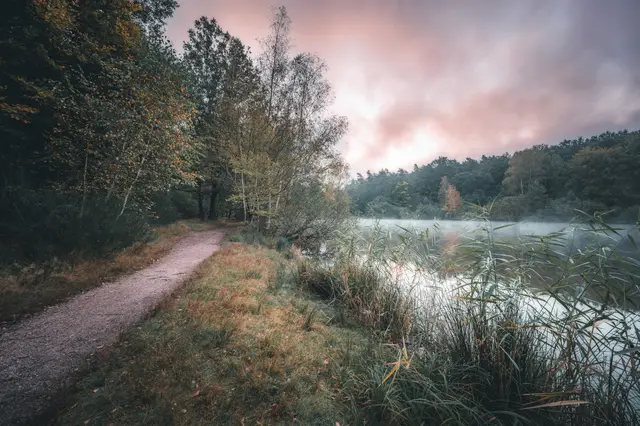 Vogelwoog Sonnenaufgang Oktober Fb
