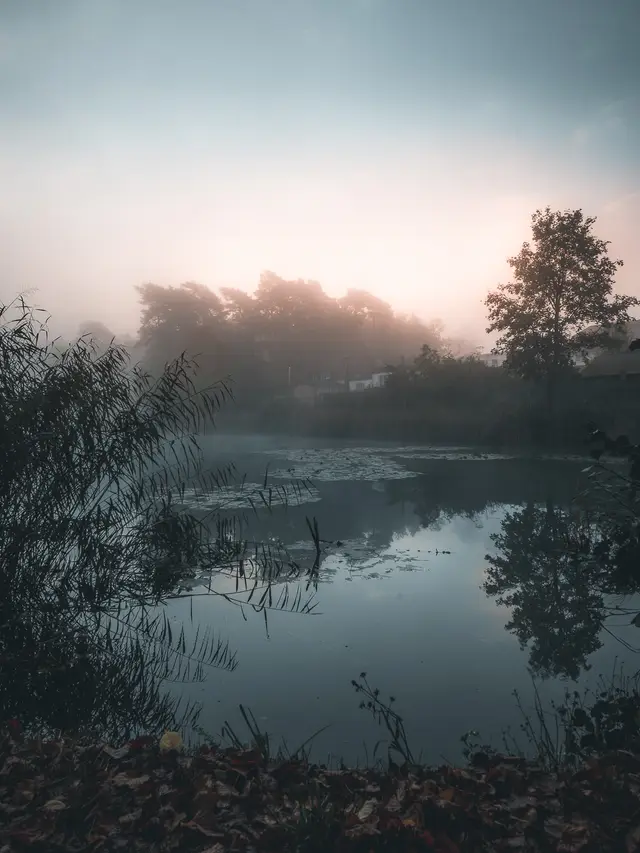 Morgennebel, absolute Stille